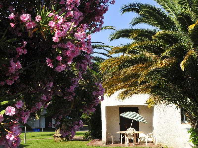 Hotel Le Domaine Du Mas Blanc By Popinns Perpignan Exterior foto