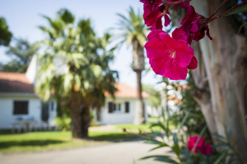 Hotel Le Domaine Du Mas Blanc By Popinns Perpignan Exterior foto